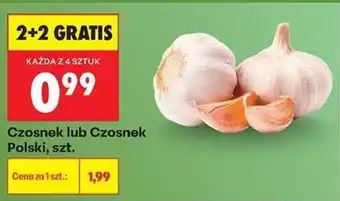 Biedronka Czosnek lub Czosnek Polski oferta