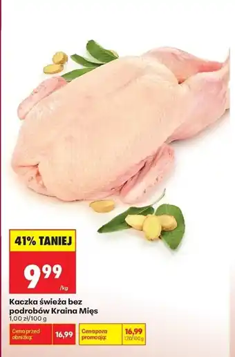 Biedronka Kaczka świeża bez podrobów Kraina Mięs oferta