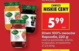 Biedronka Dżem 100% owoców Rapsodia oferta