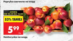 Biedronka Nektarynka na wagę oferta