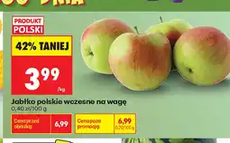 Biedronka Jabłka polskie wczesne oferta