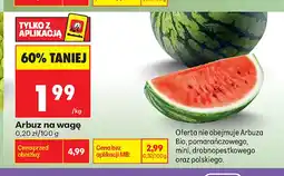 Biedronka Arbuz oferta