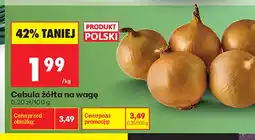 Biedronka Cebula żółta polska na wagę oferta