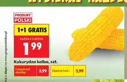 Biedronka Kukurydza kolba oferta