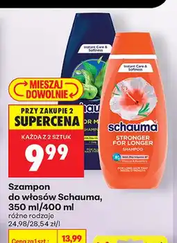 Biedronka Szampon do włosów Schauma oferta