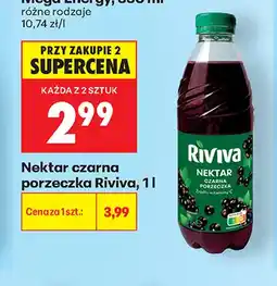 Biedronka Nektar czarna porzeczka Riviva oferta