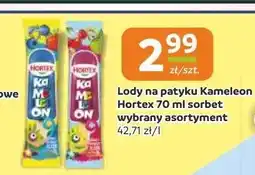Gama Lody na patyku Kameleon Hortex sorbet oferta