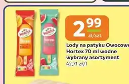 Gama Lody na patyku Owocowe Hortex wodne oferta