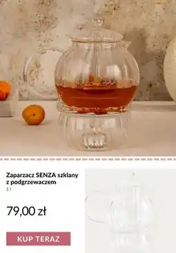 Homla Zaparzacz Senza szklany z podgrzewaczem oferta