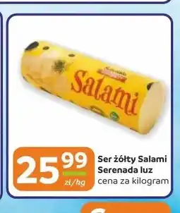 Gama Ser żółty Salami Serenada luz oferta