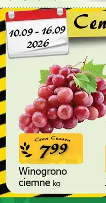 Cezar Delikatesy Winogrona ciemne oferta