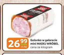Gama Golonko w galarecie mini Madej Wróbel oferta