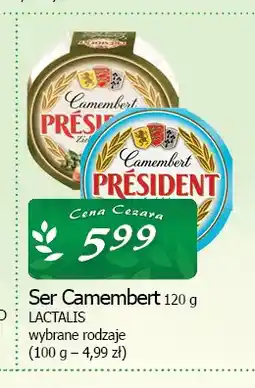 Cezar Delikatesy Ser Camembert Président oferta