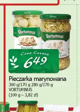 Cezar Delikatesy Pieczarka marynowana Vortumnus oferta
