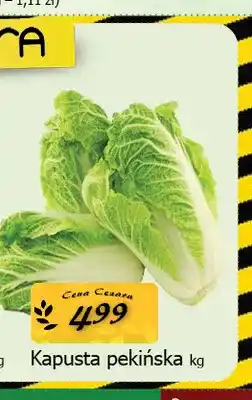 Cezar Delikatesy Kapusta pekińska oferta