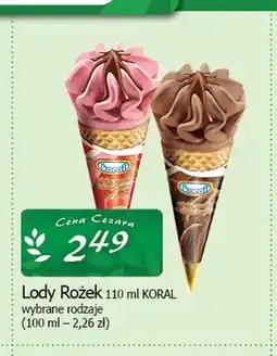 Cezar Delikatesy Lody Rożek oferta