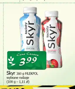 Cezar Delikatesy Skyr naturalny Łaciate Mlekpol oferta