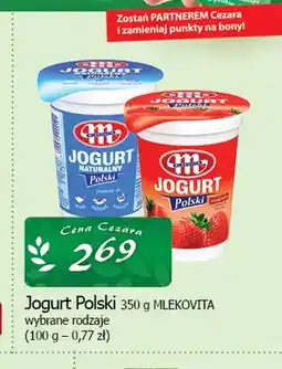 Cezar Delikatesy Jogurt Polski naturalny Mlekovita oferta