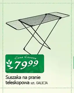 Cezar Delikatesy Suszarka na pranie teleskopowa Galicja oferta