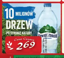 Cezar Delikatesy Woda źródlana gazowana Żywiec Zdrój oferta