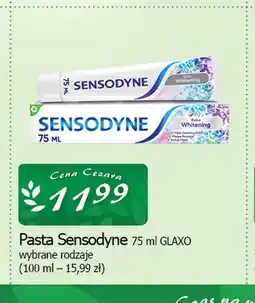 Cezar Delikatesy Pasta do zębów Sensodyne oferta
