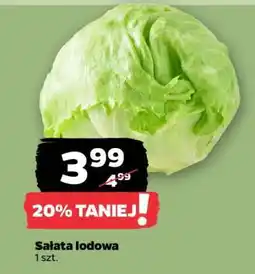 Netto Sałata lodowa oferta