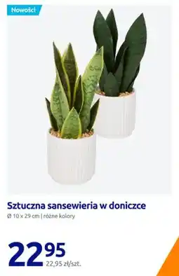 Action Sztuczna sansewieria w doniczce oferta
