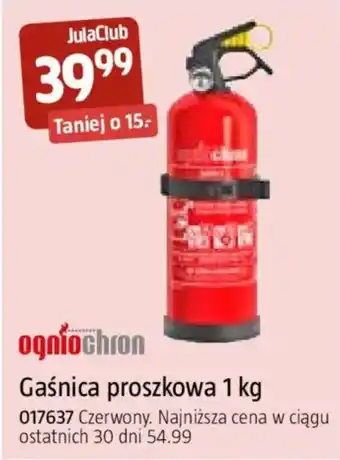 Gaśnica proszkowa 1 kg