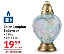 Makro Znicz Lampion Sadowscy oferta