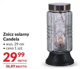 Makro Znicz solarny Candela oferta