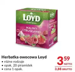 Makro Herbatka owocowa Loyd oferta