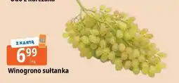 E.Leclerc Winogrono sułtanka oferta
