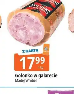 E.Leclerc Golonko w galarecie Madej Wróbel oferta