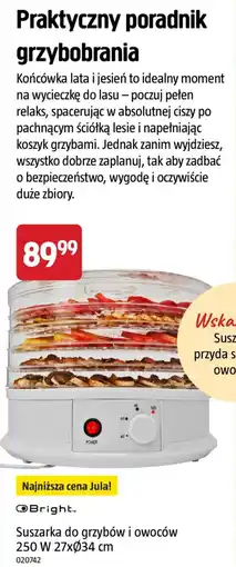 Jula Suszkarka do grzybów i owoców oferta