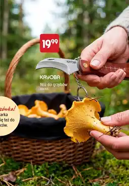 Jula Nóż do grzybów Kayoba oferta