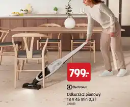 Jula Odkurzacz pionowy Electrolux oferta