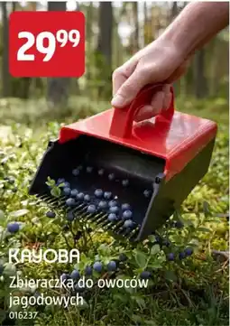 Jula Kayoba Zbieraczka do owoców jagodowych oferta