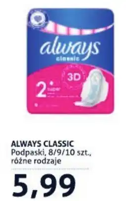 Blue Stop Always Classic Podpaski oferta