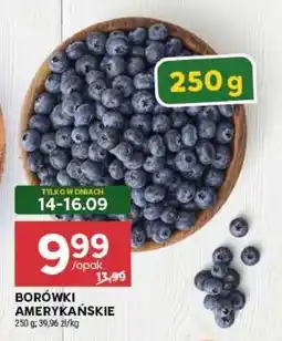 Stokrotka Market Borówki amerykańskie oferta