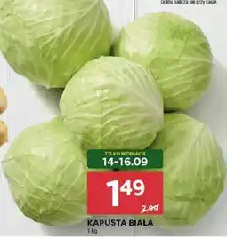 Stokrotka Market Kapusta biała oferta