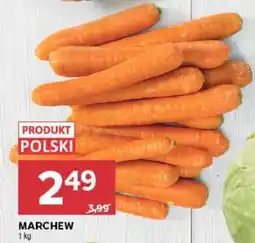 Stokrotka Market Marchew oferta