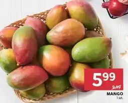 Stokrotka Market Mango oferta