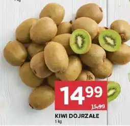 Stokrotka Market KIWI DOJRZAŁE oferta