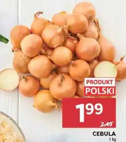 Stokrotka Market Cebula oferta