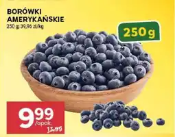 Stokrotka Market Borówki amerykańskie oferta