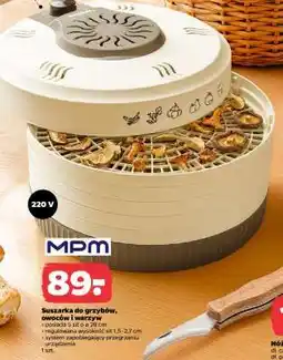 Netto Suszarka do grzybów, owoców i warzyw oferta