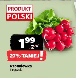 Netto Rzodkiewka oferta