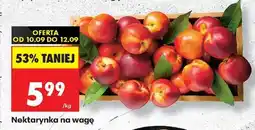 Biedronka Nektarynka na wage oferta