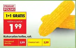 Biedronka Kukurydza kolba szt oferta