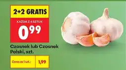 Biedronka Czosnek lub Czosnek Polski, szt oferta